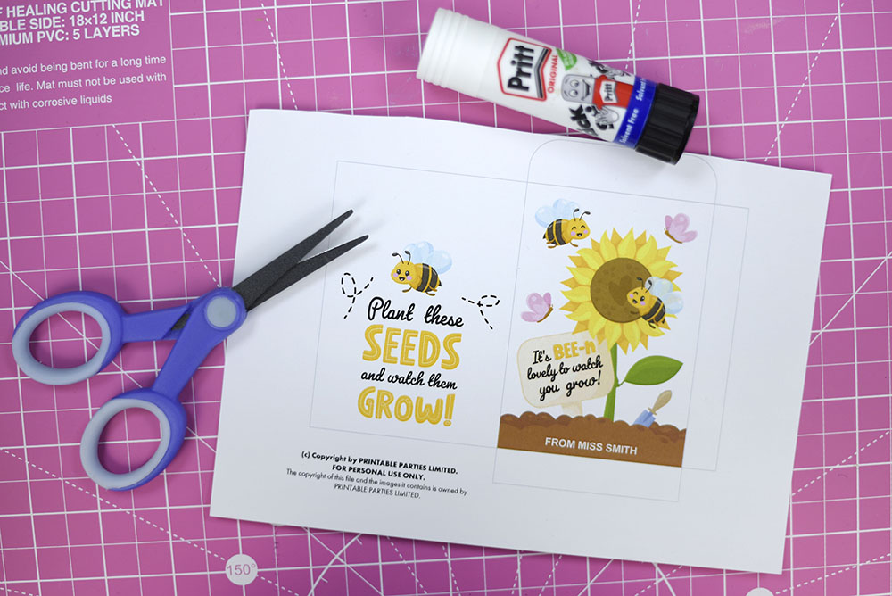 printable seeds envelope printable seeds envelope
